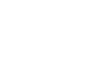 logo_carlastampfli