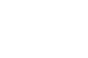logo_elektrotechnikmensinger