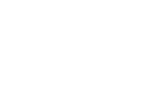 logo_hausdeszahnesfleckeby